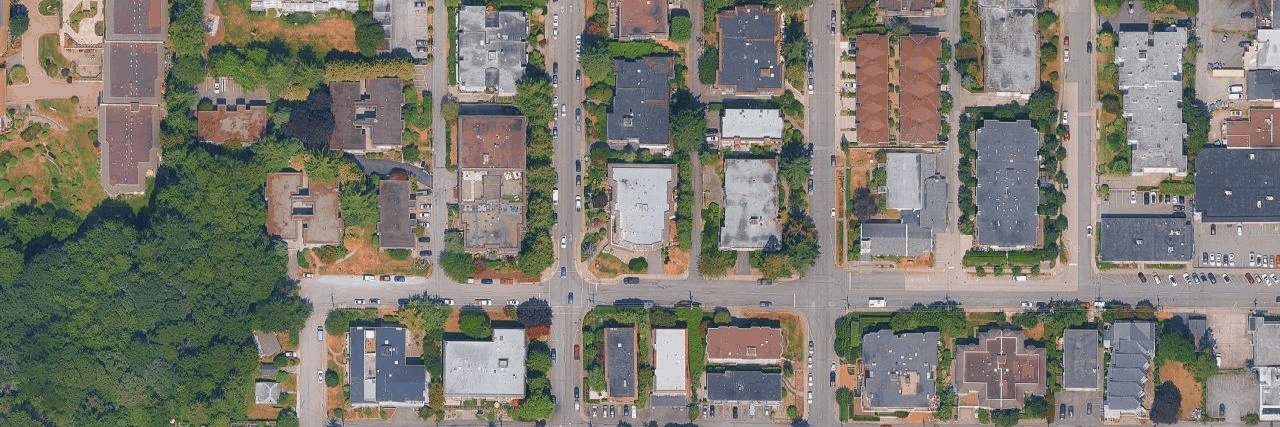 Blue Spruce aerial view