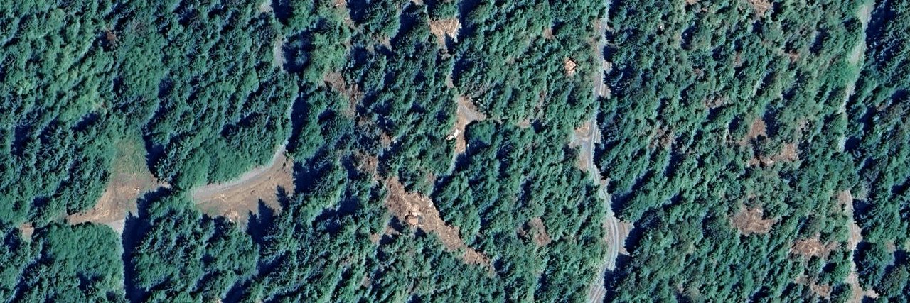 Douglas Bay aerial view