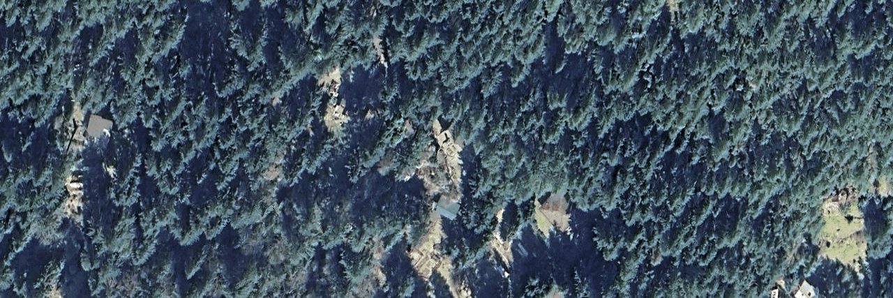 Collins Farm aerial view