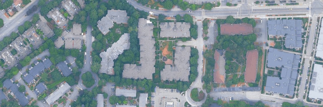 Branches aerial view