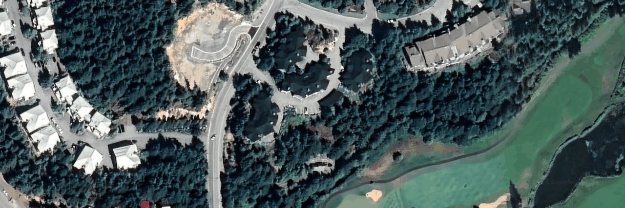 Lynx aerial view