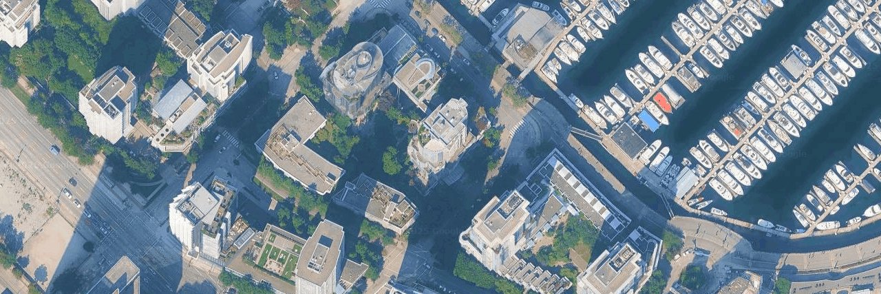 Bauhinia aerial view