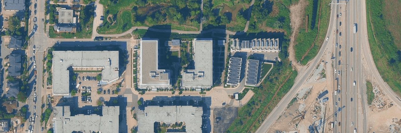 Dahlia aerial view