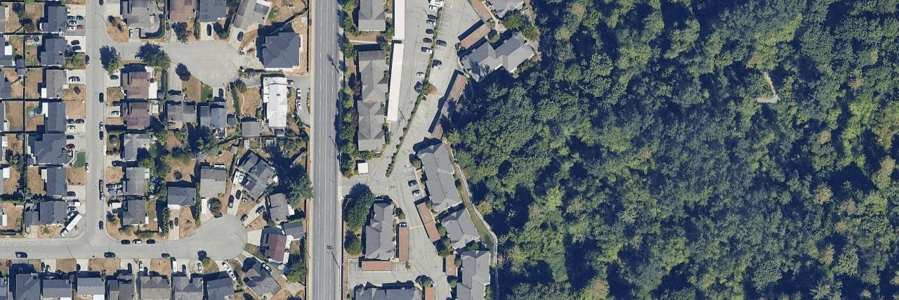 Forest Edge aerial view