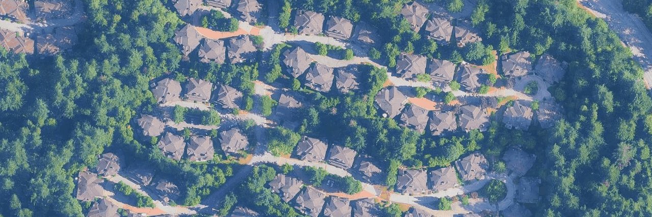 Treetops aerial view