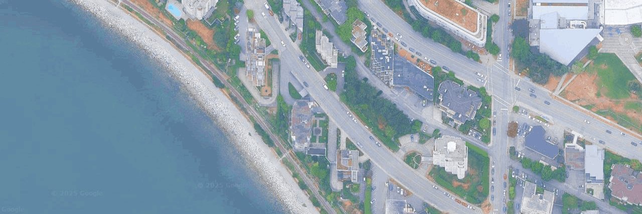 The Dolphin aerial view