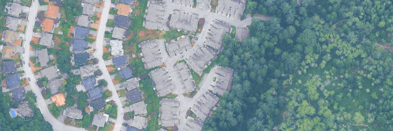 Nahanee Woods aerial view