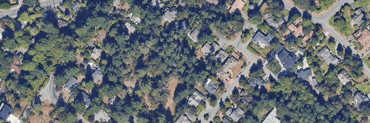 Woodlands Estates at Ten Mile Point aerial view