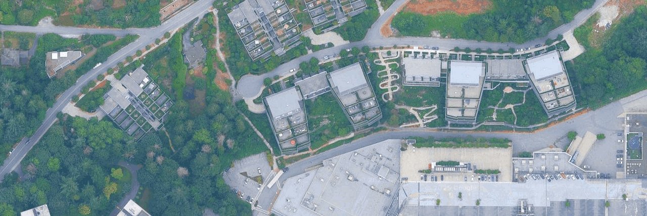 Evelyn At Forest's Edge I aerial view