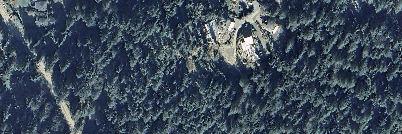 Evergreen aerial view