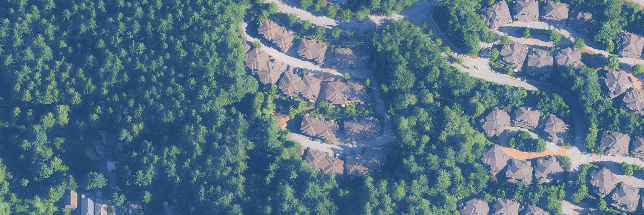 Treetops aerial view