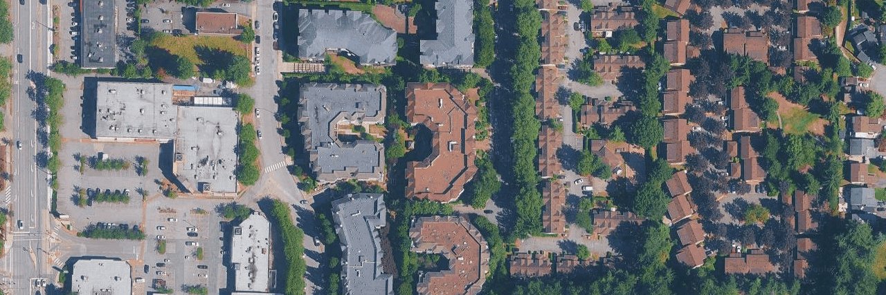 The Birches aerial view