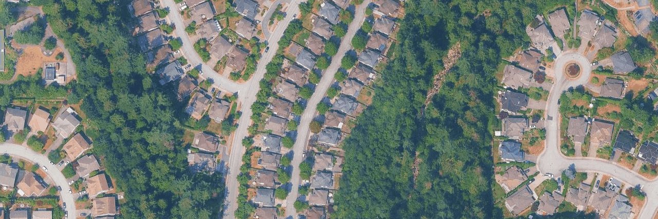Forest Edge aerial view
