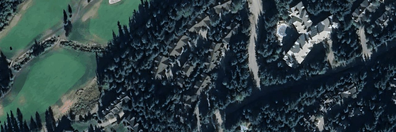 The Woods aerial view