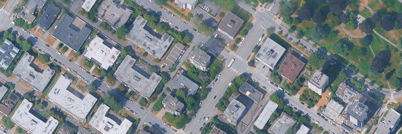 The Camellia aerial view