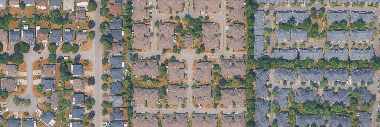 Oak Tree aerial view
