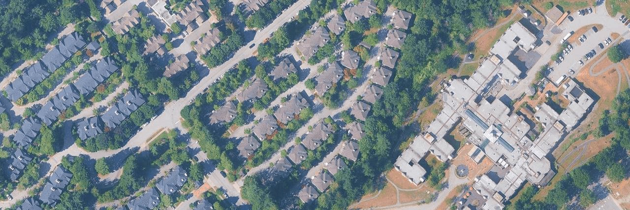 Wildflower aerial view