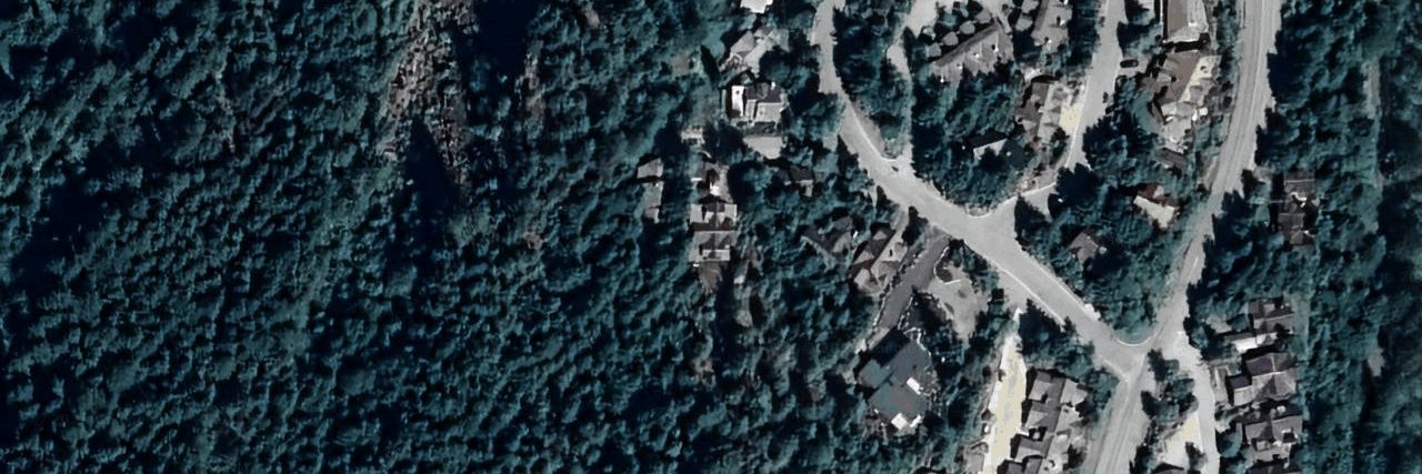 Blueberry aerial view