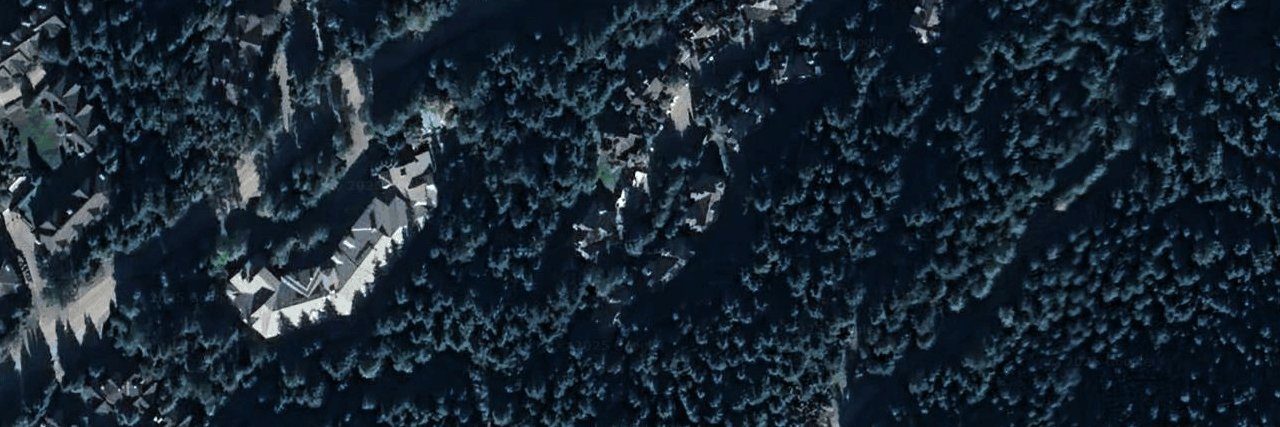 Treeline aerial view