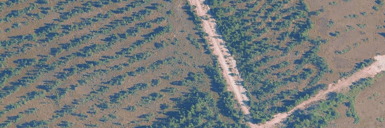 Pine Creek Estates 2 building photo