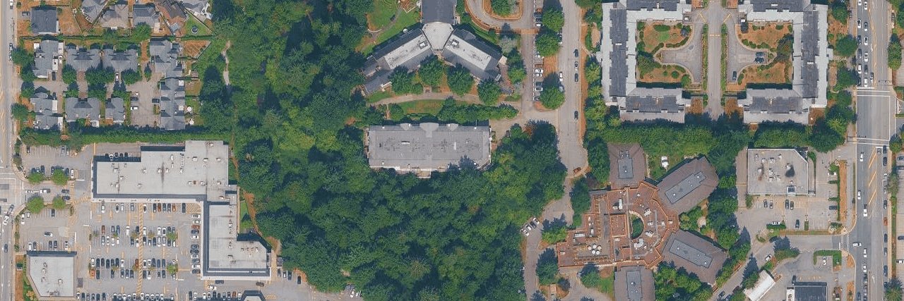 Creekside aerial view