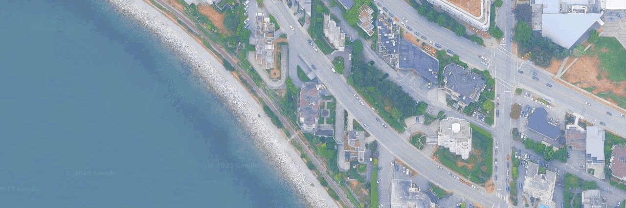 The Dolphin aerial view
