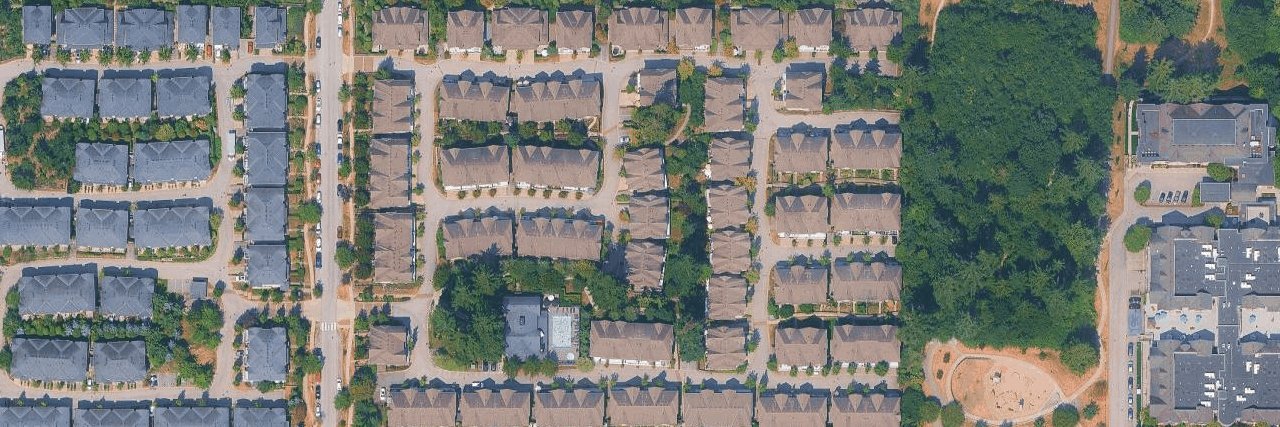 Cathedral Grove aerial view