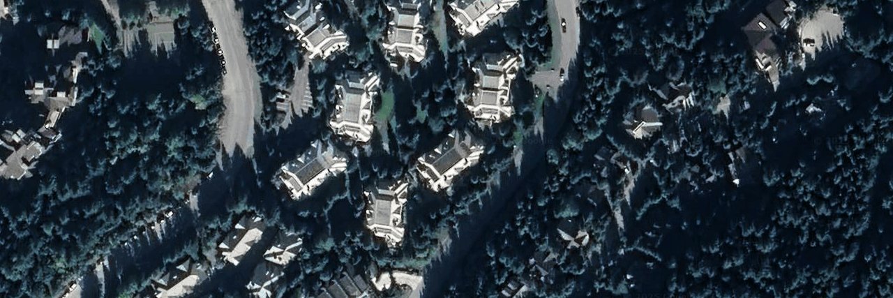 Foxglove aerial view