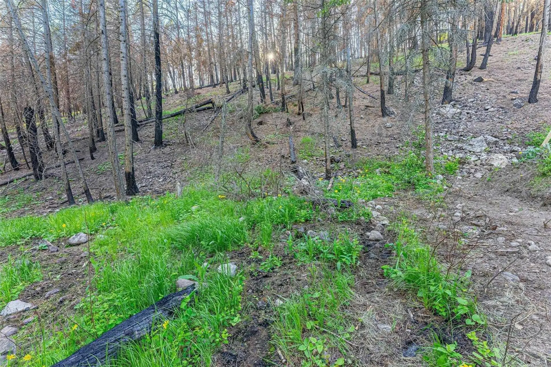 Property at LOT 34 WINCHESTER ROAD, Vernon, BC