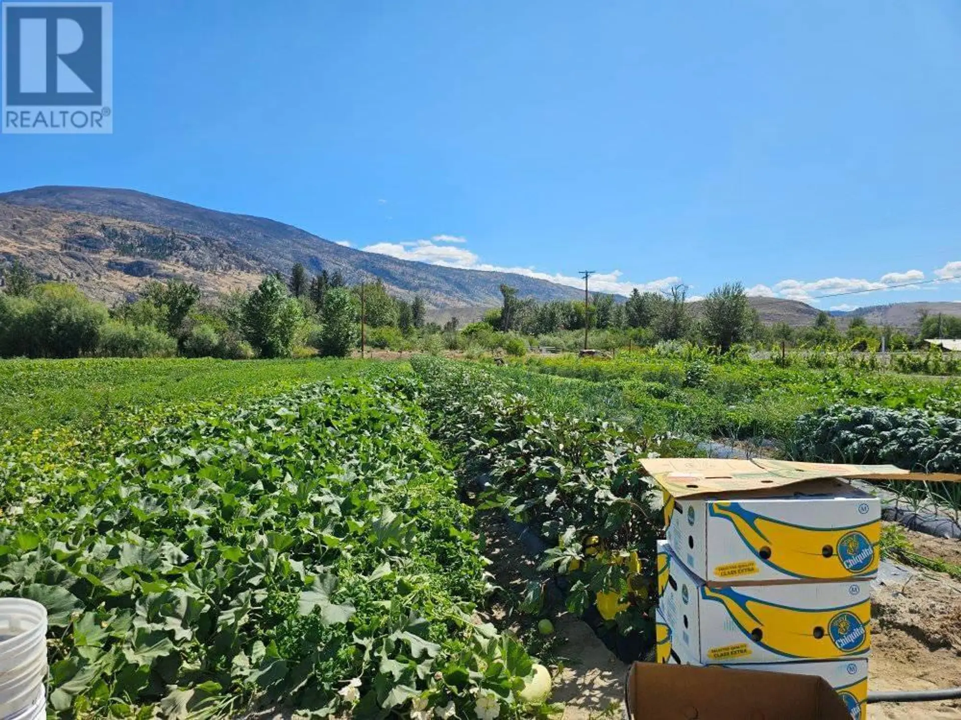 Property at 166 PARK RILL ROAD, Oliver, BC