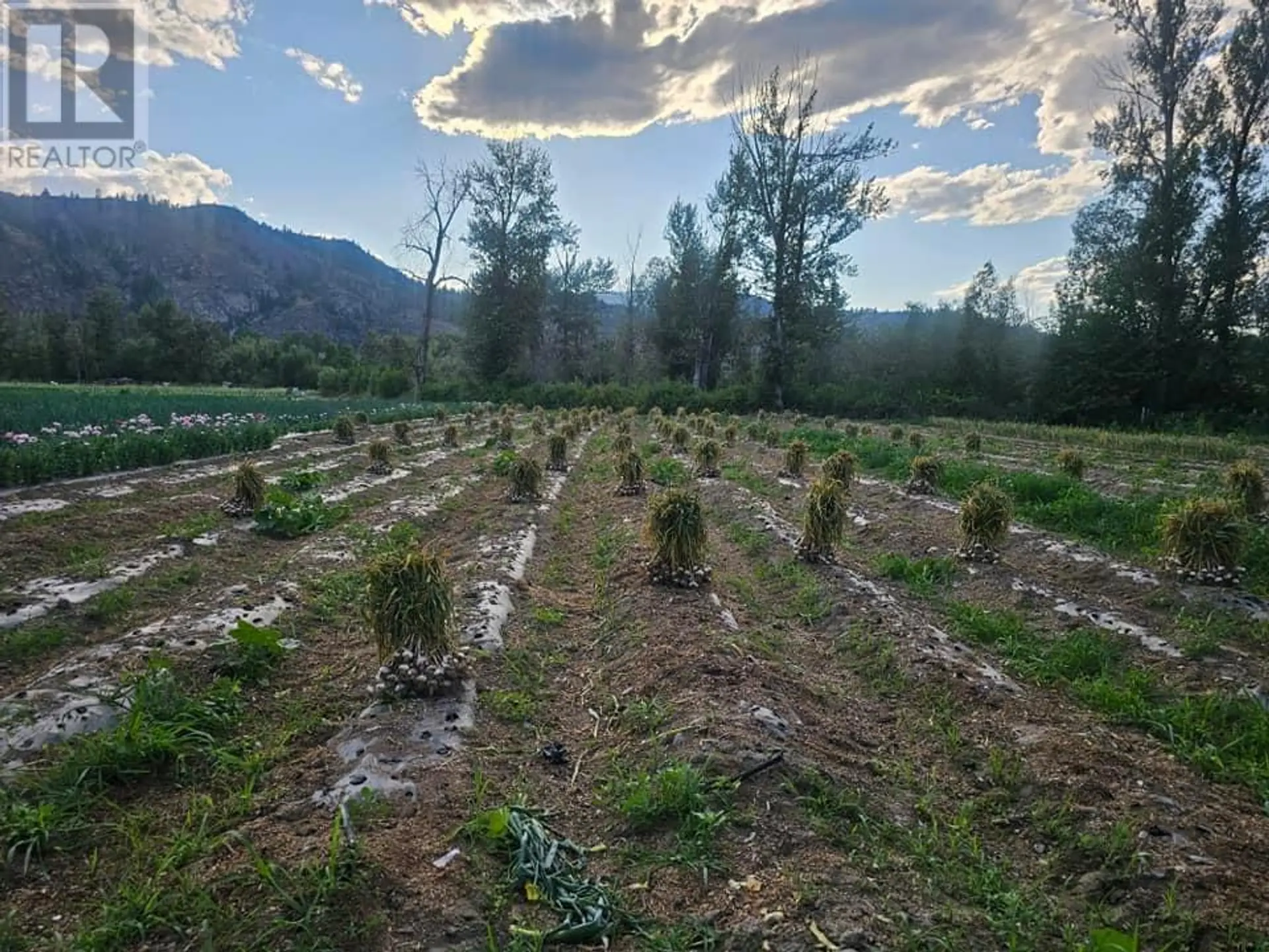 Property at 166 PARK RILL ROAD, Oliver, BC