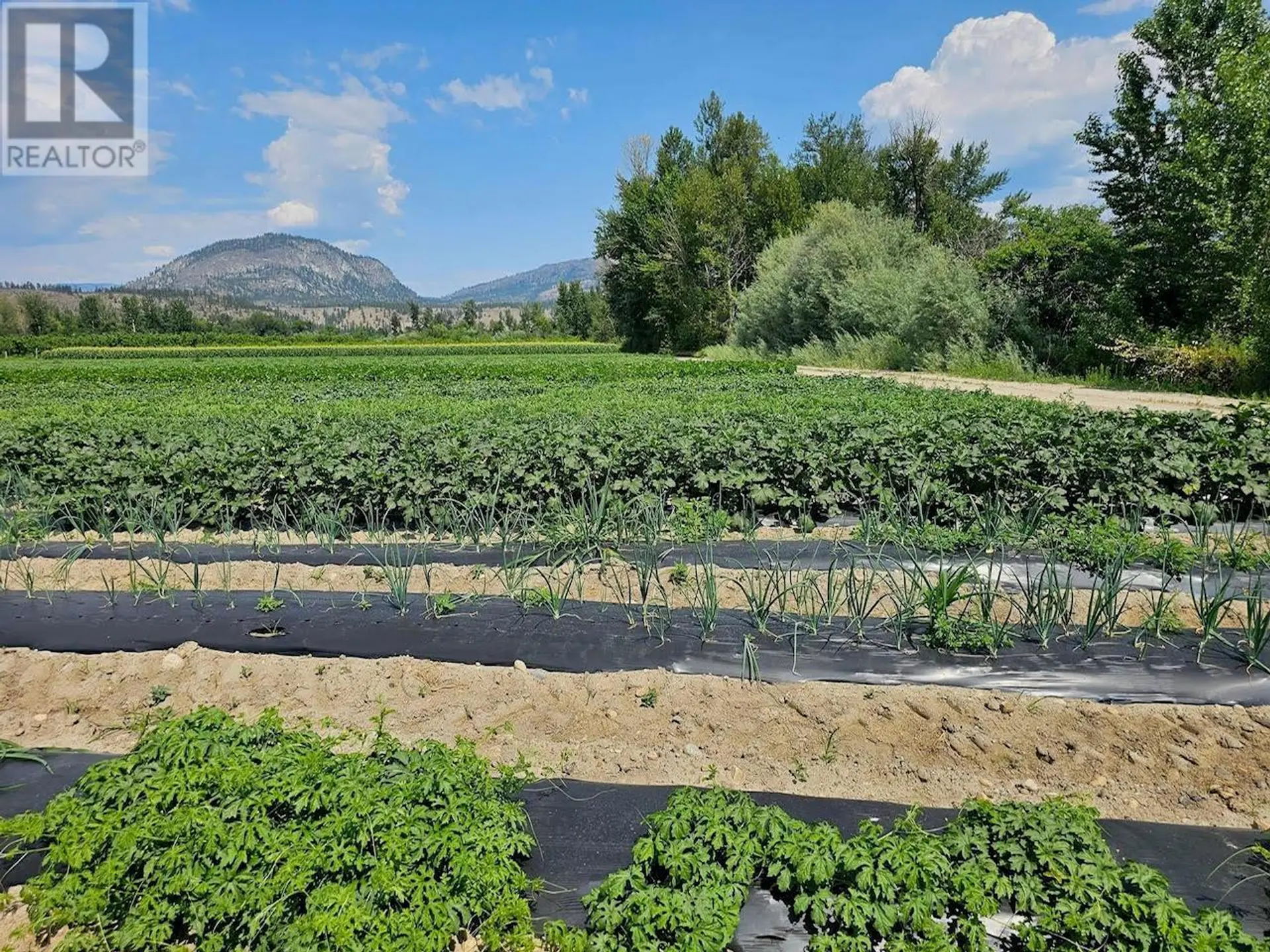 Property at 166 PARK RILL ROAD, Oliver, BC