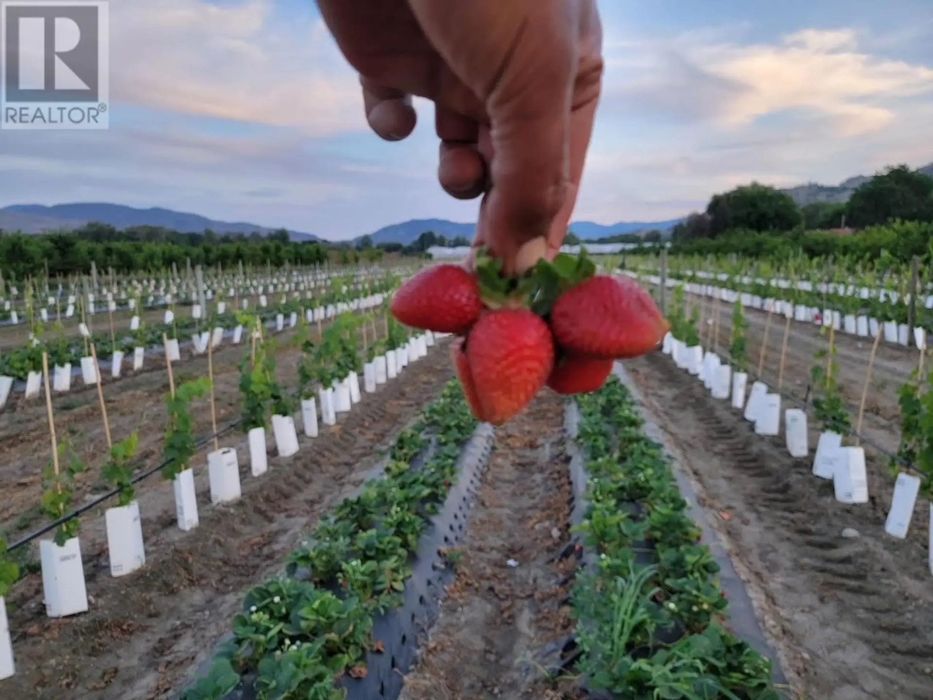 Property at 166 PARK RILL ROAD, Oliver, BC