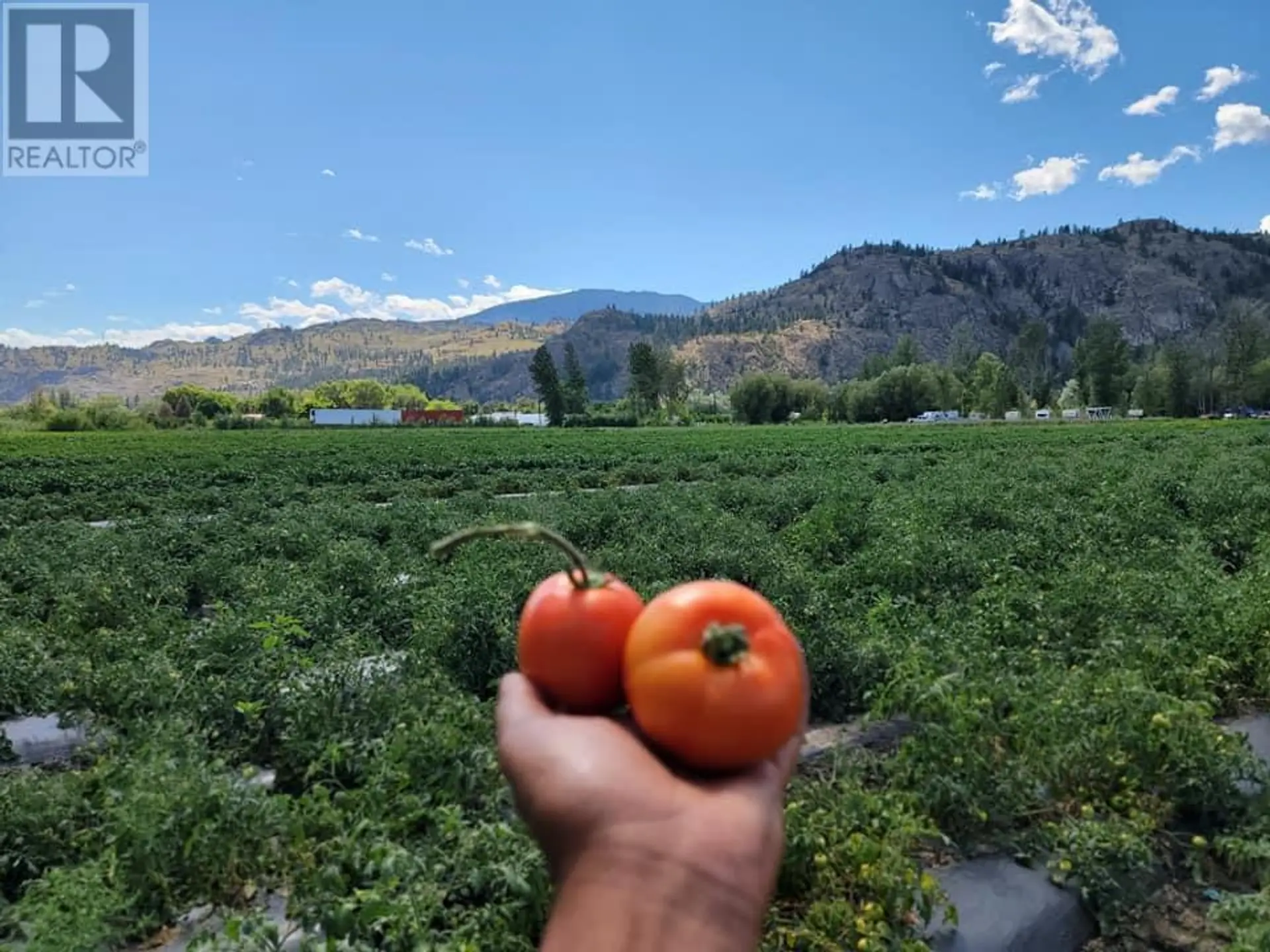 Property at 166 PARK RILL ROAD, Oliver, BC