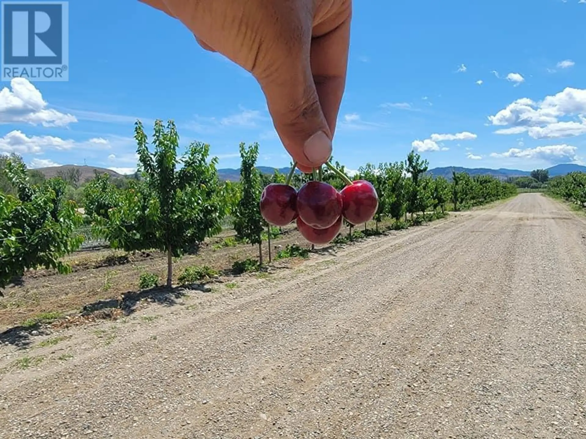 Property at 166 PARK RILL ROAD, Oliver, BC