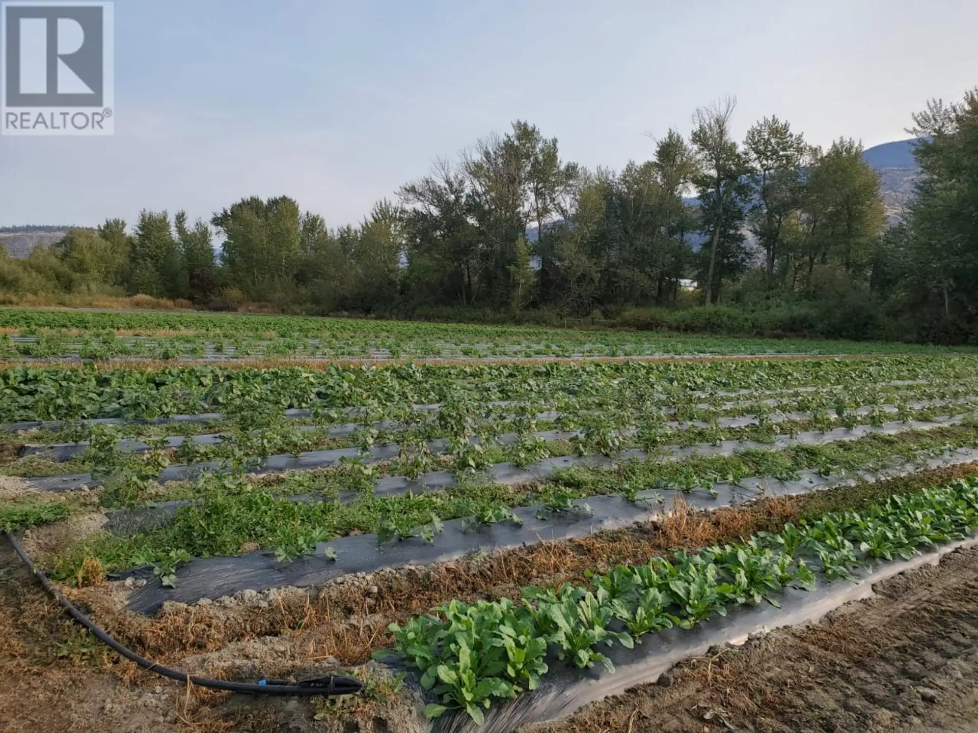 Property at 166 PARK RILL ROAD, Oliver, BC