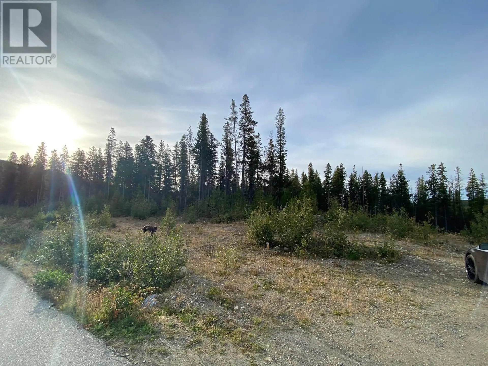 Property at 19 BUCK ROAD, Oliver, BC