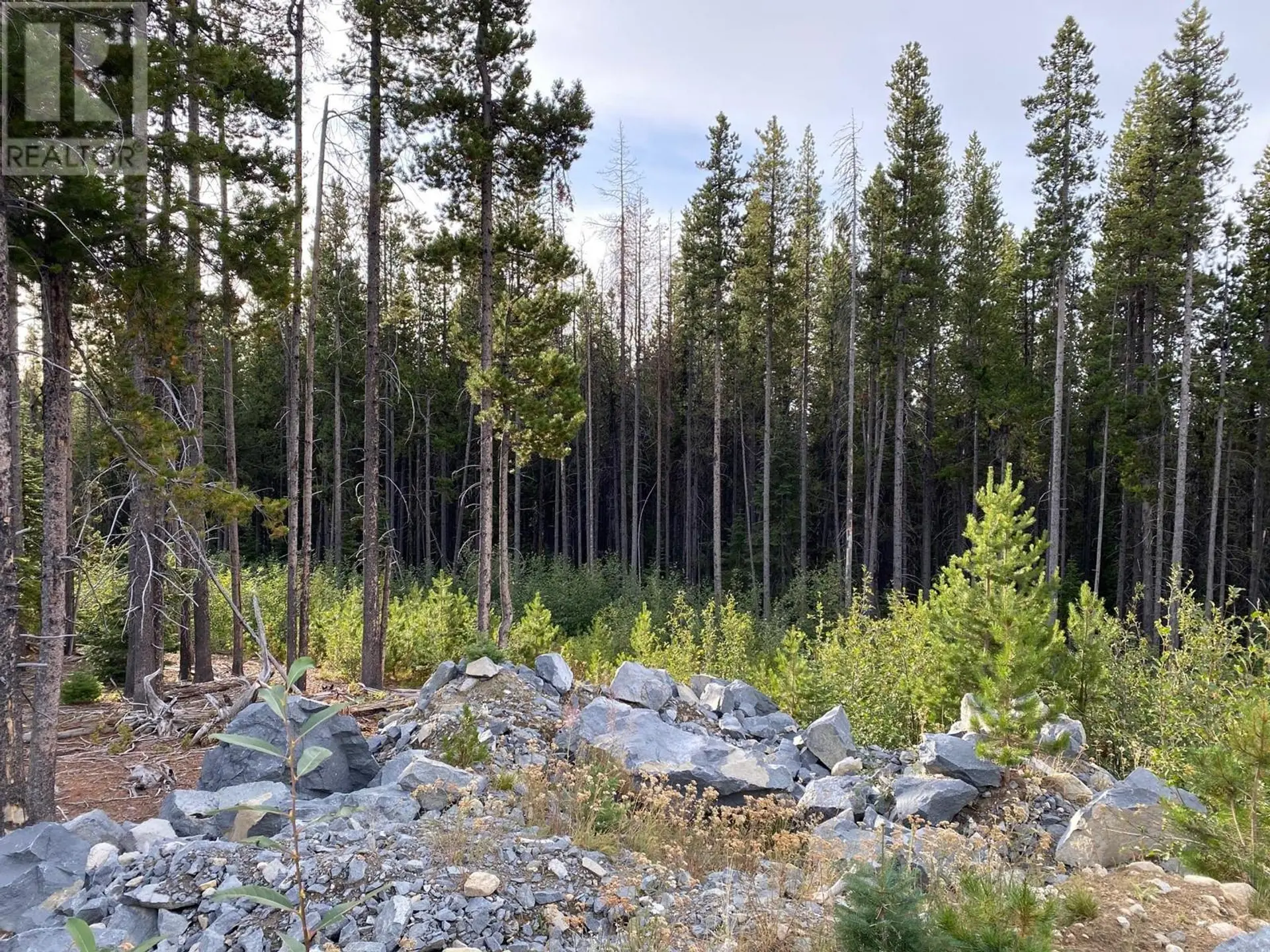 Property at 19 BUCK ROAD, Oliver, BC