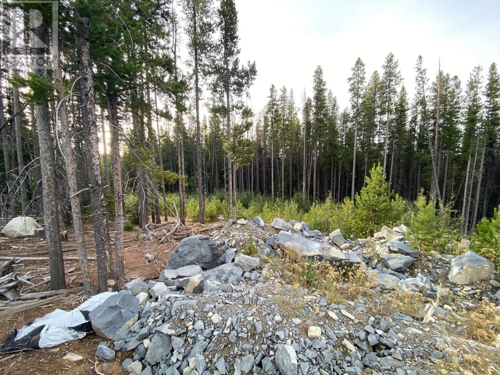 Property at 19 BUCK ROAD, Oliver, BC