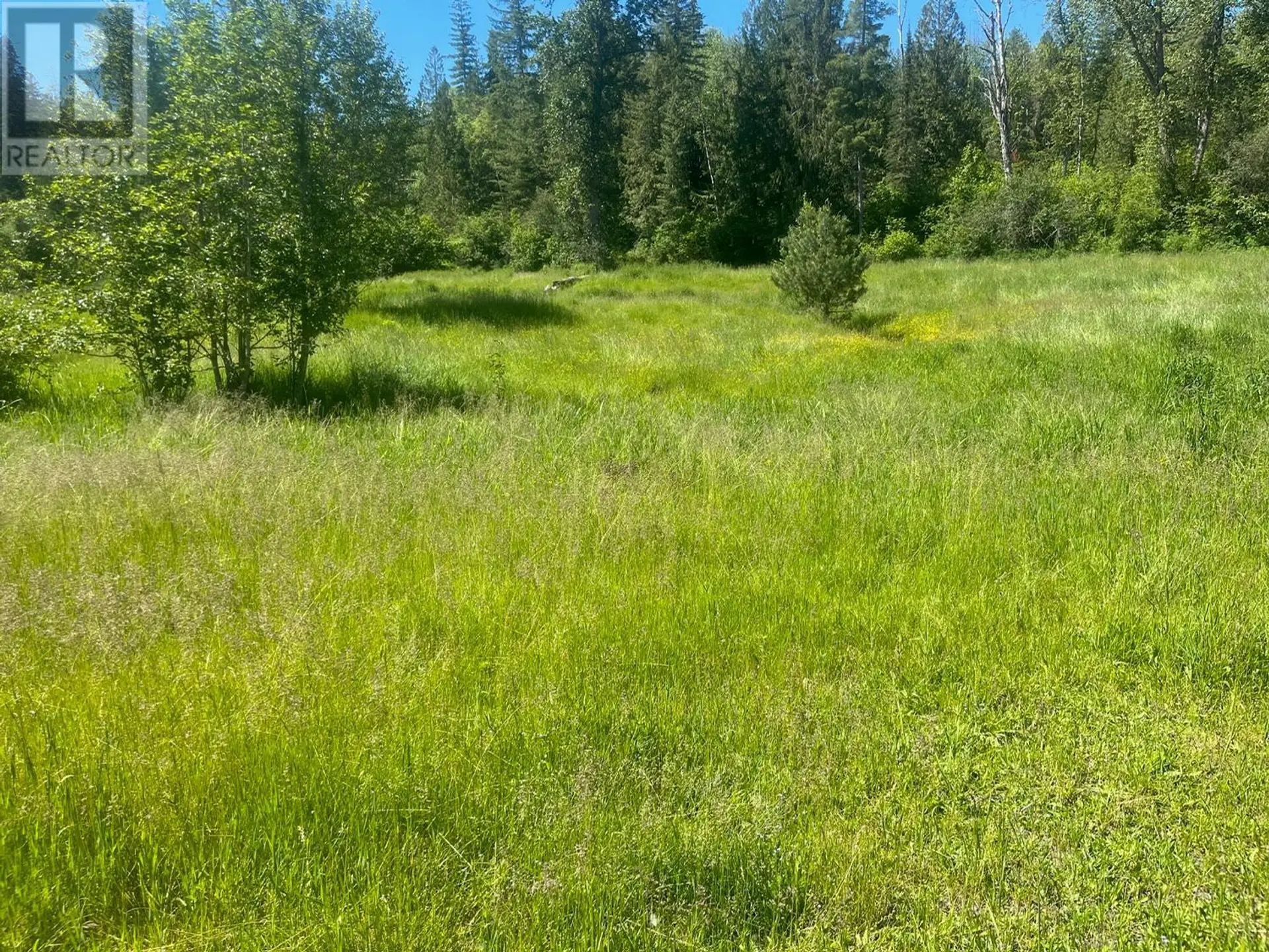 Property at 2736 ENDERBY MABEL LAKE ROAD, Enderby, BC