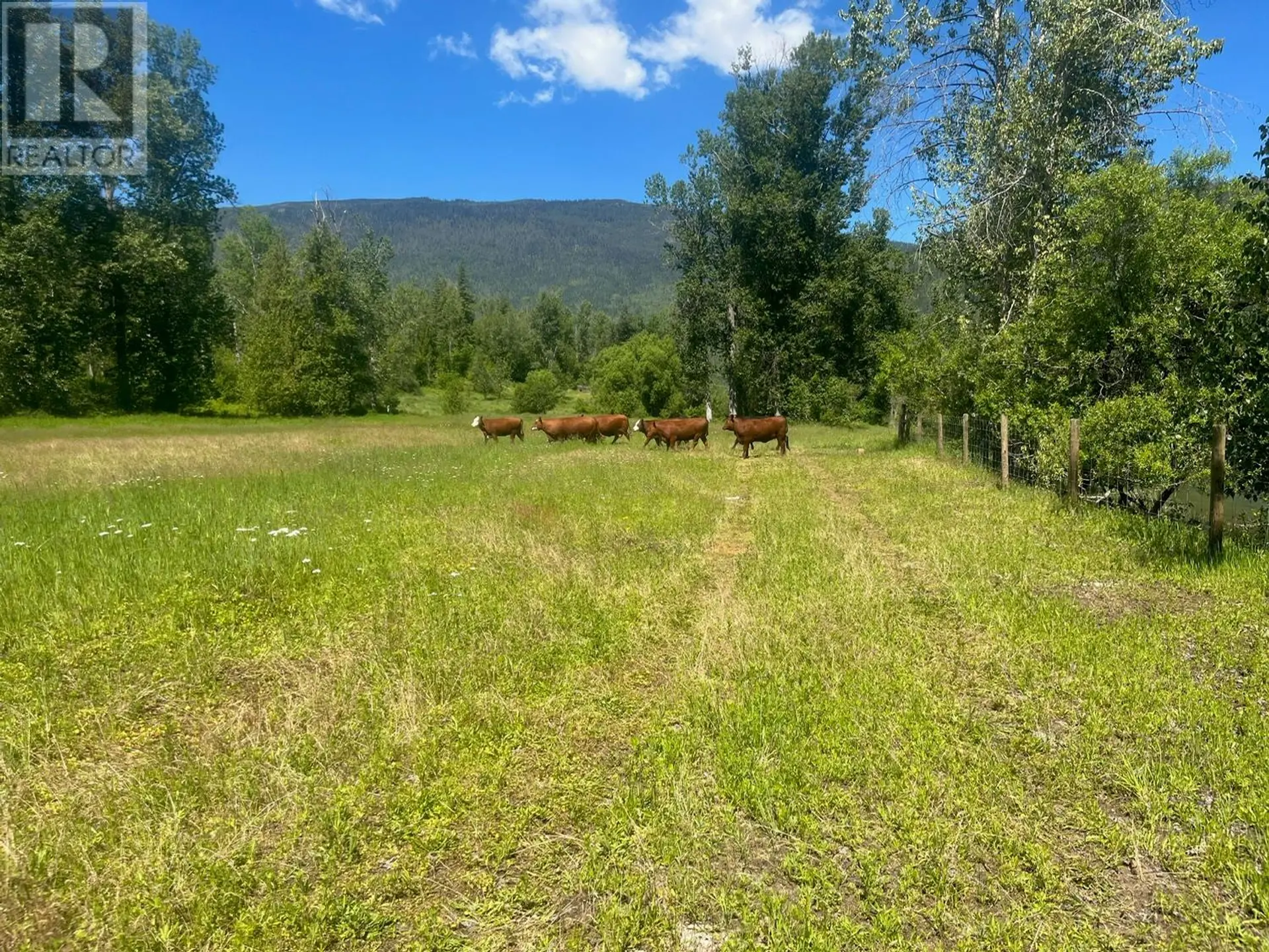 Property at 2736 ENDERBY MABEL LAKE ROAD, Enderby, BC