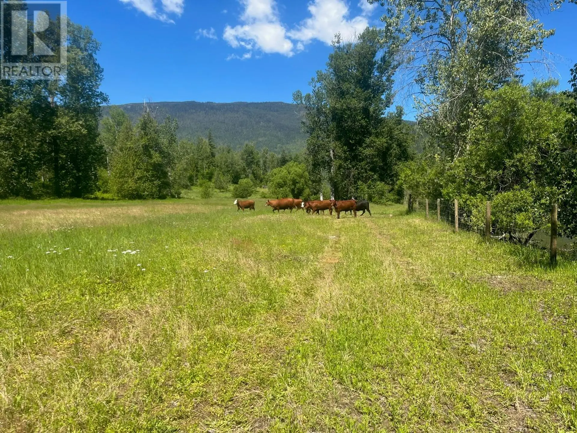 Property at 2736 ENDERBY MABEL LAKE ROAD, Enderby, BC