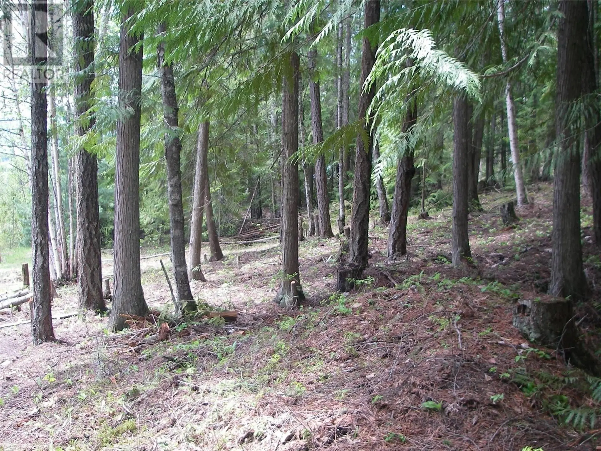 Property at 71 BIRCH CLOSE, Anglemont, BC