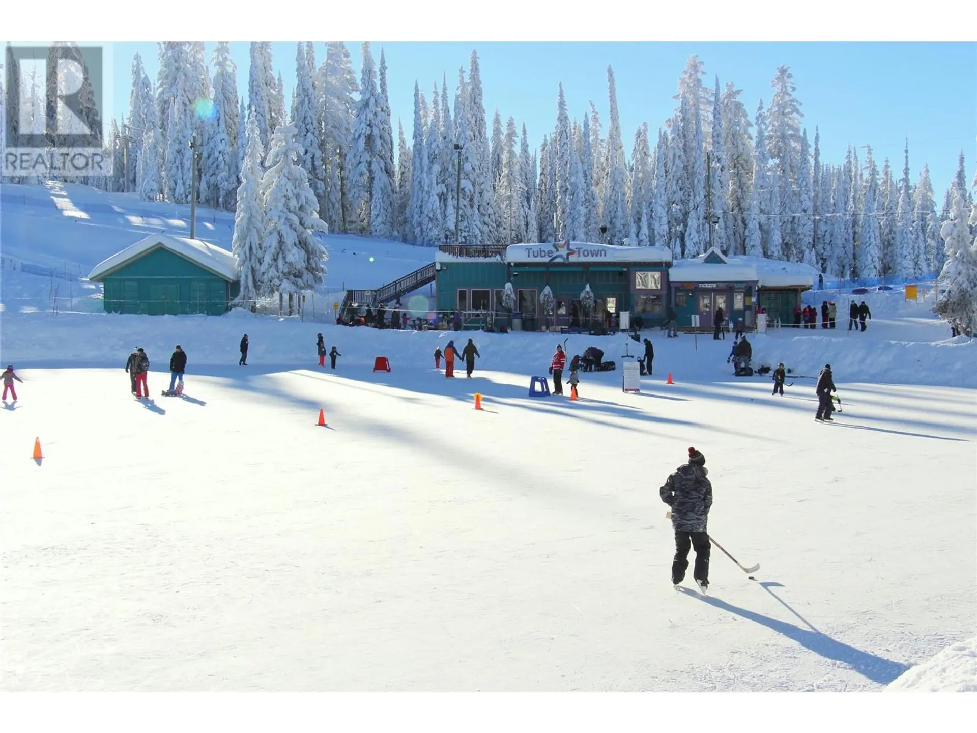 Property at 440 & 450 ARNICA LANE, Silver Star, BC