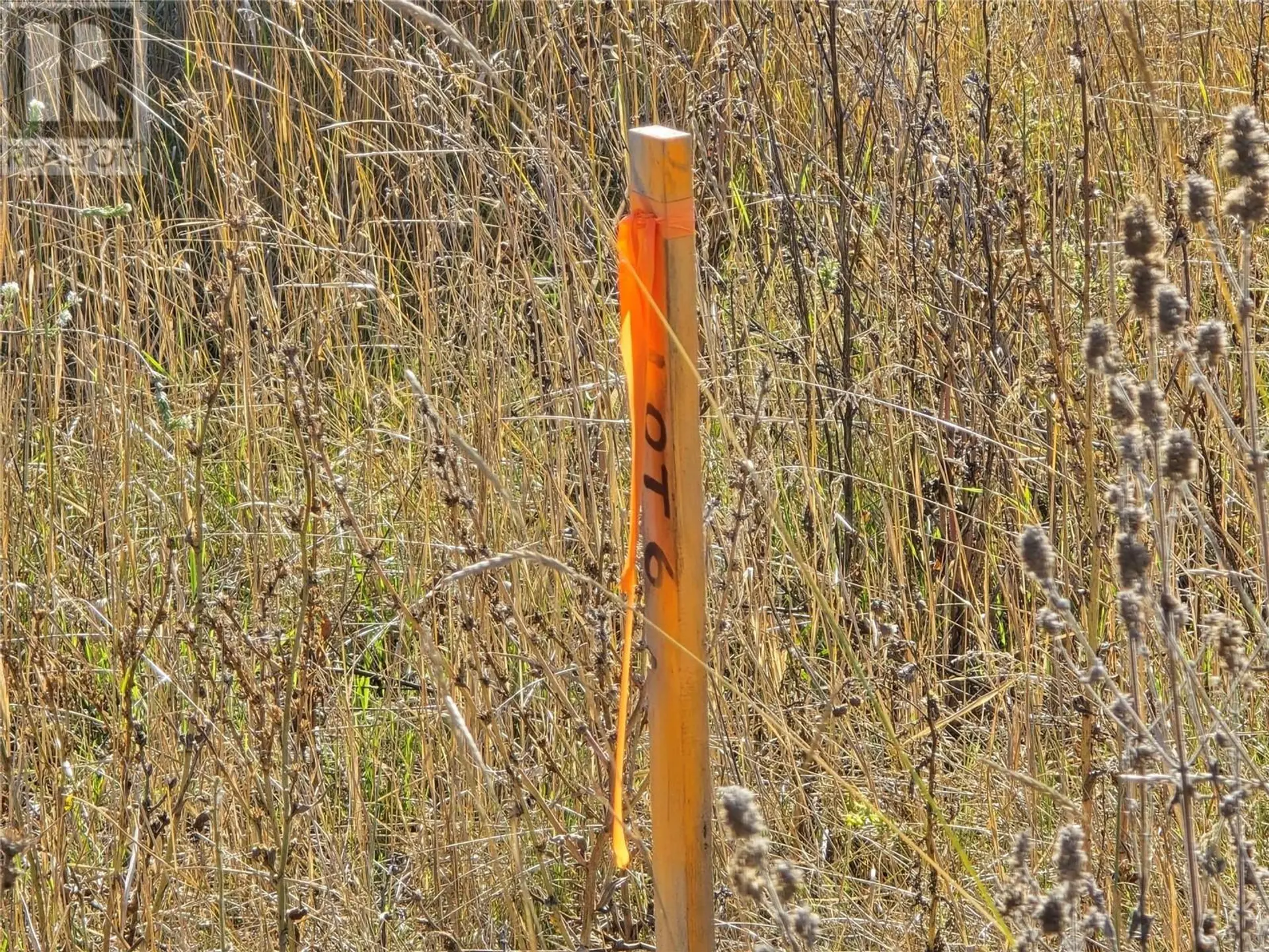 Property at 5145 SALMON RIVER ROAD, Spallumcheen, BC