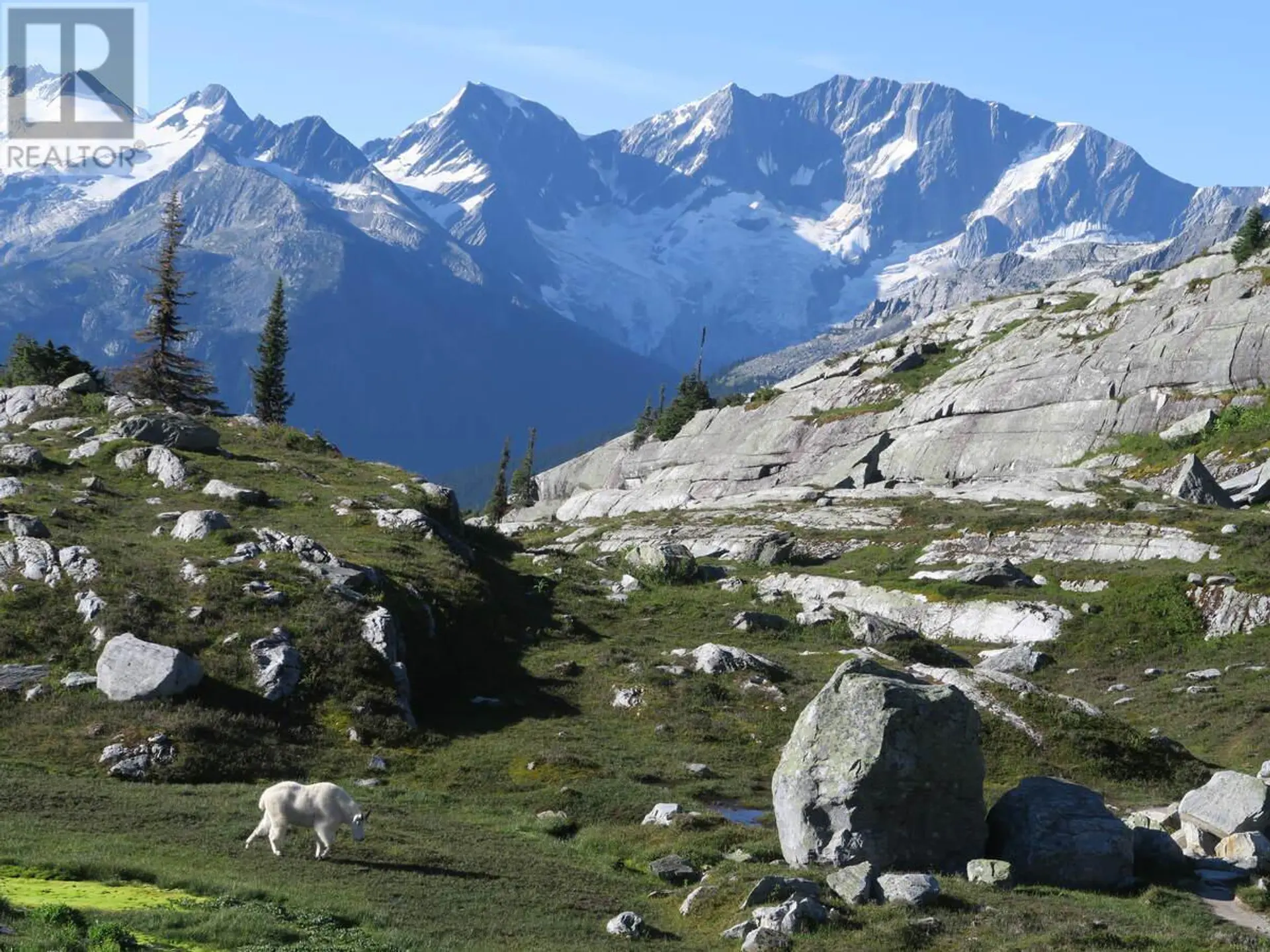 Property at 1398 PINE DRIVE, Golden, BC