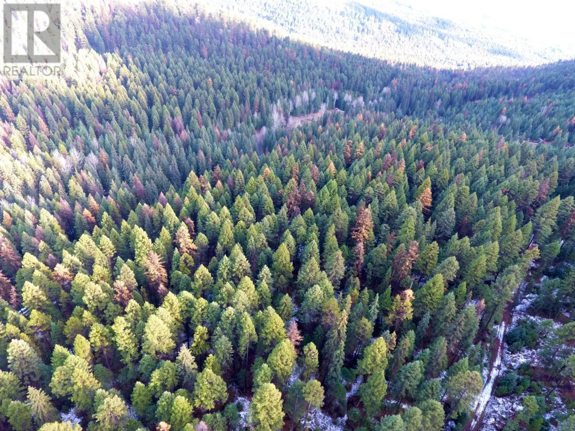 Property at LOT 1213S INGRAM CREEK FOREST SERVICE ROAD, Rock Creek, BC