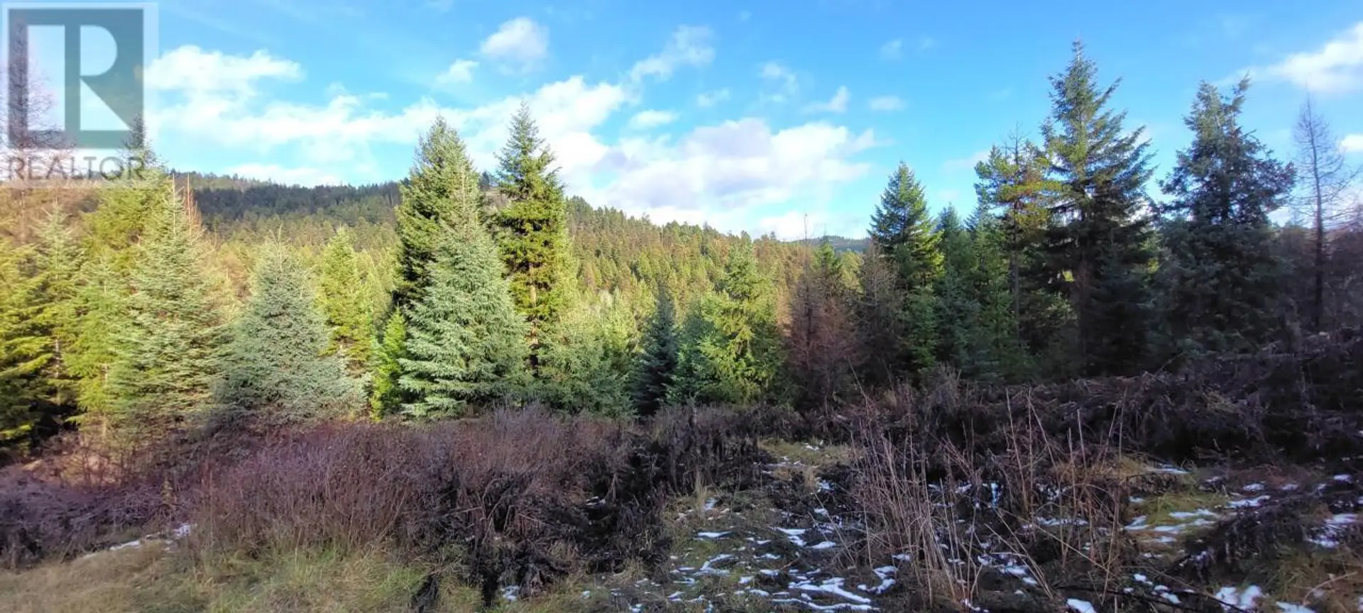 Property at LOT 1213S INGRAM CREEK FOREST SERVICE ROAD, Rock Creek, BC
