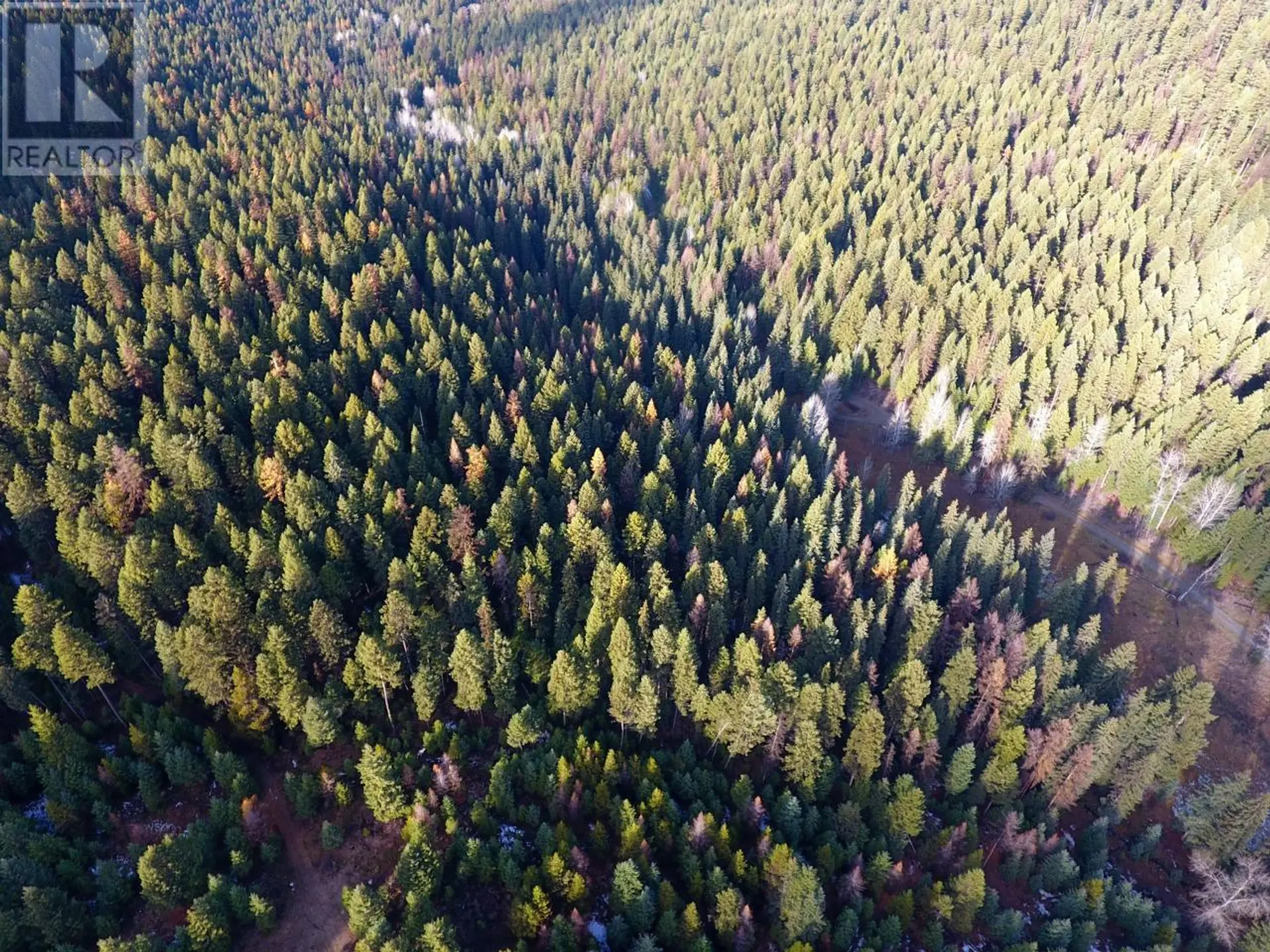 Property at LOT 1213S INGRAM CREEK FOREST SERVICE ROAD, Rock Creek, BC