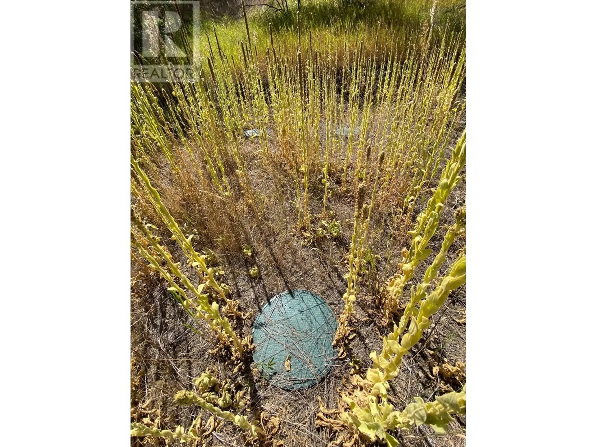 Property at LOT 2 41 HIGHWAY, Grand Forks, BC